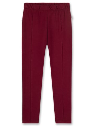 Sanetta Kidswear Sweathosen "Early Bird" in Bordeaux