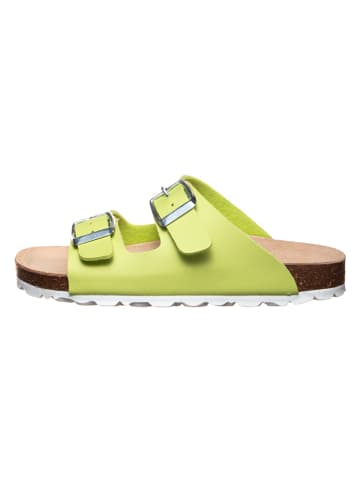 BIO PINGÜIN Slippers lichtgroen