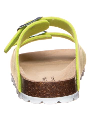 BIO PINGÜIN Slippers lichtgroen