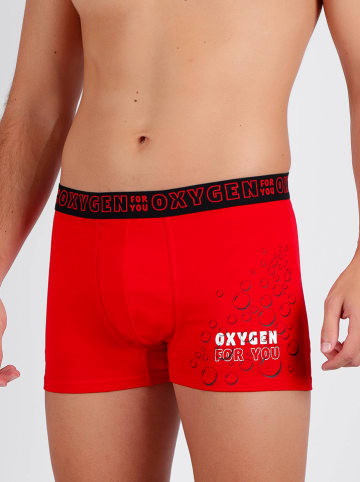 admas Boxershorts in Rot
