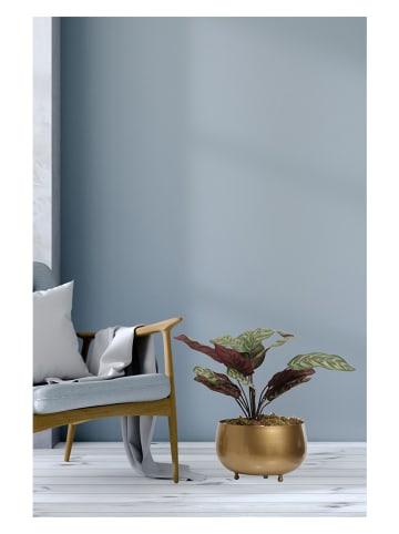 Scandinavia Concept Blumentopf in Gold - (H)20 x Ø 28 cm