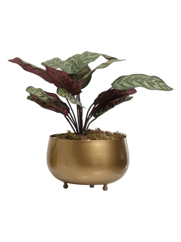 Scandinavia Concept Blumentopf in Gold - (H)20 x Ø 28 cm
