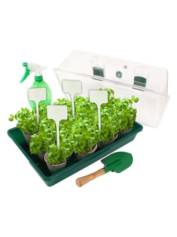 Planete Plante Broeikas met accessoires - vanaf 3 jaar