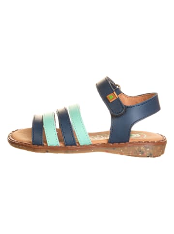 El Naturalista Leren sandalen "Atenas" donkerblauw/mintgroen