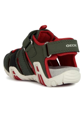 Geox Halbsandalen "Kraze" in Khaki