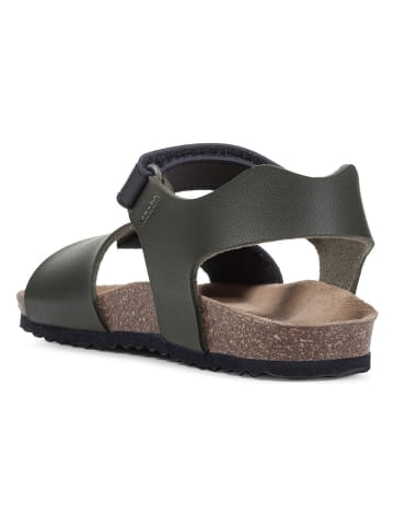 Geox Sandalen "Ghita" donkerblauw/donkergroen