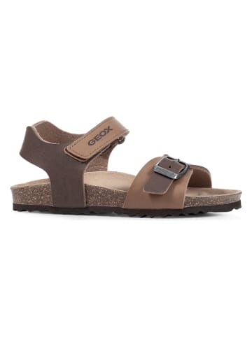 Geox Sandalen "Ghita" lichtbruin