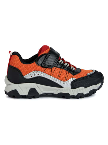 Geox Sneakers "Magnetar" in Orange/ Schwarz