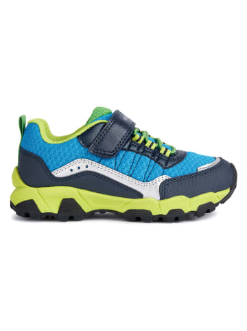 Geox Sneakers "Magnetar" blauw/groen