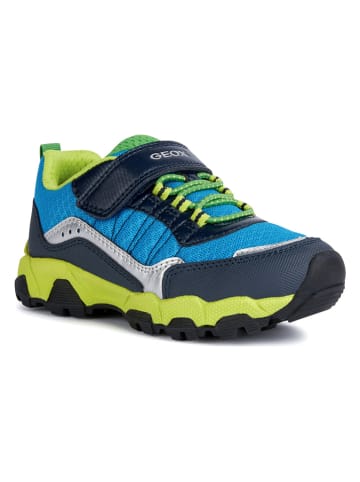 Geox Sneakers "Magnetar" blauw/groen