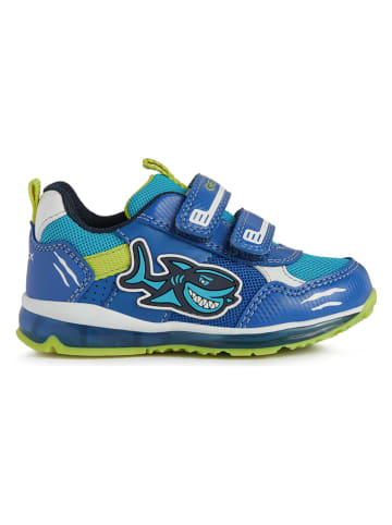 Geox Sneakers "To Do" in Blau
