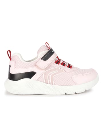 Geox Sneakers "Sprintye" in Rosa