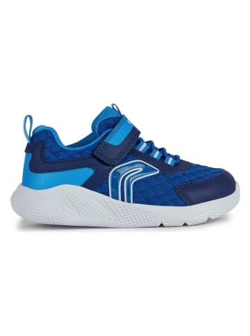 Geox Sneakers "Sprintye" in Blau