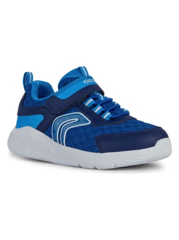 Geox Sneakers "Sprintye" in Blau