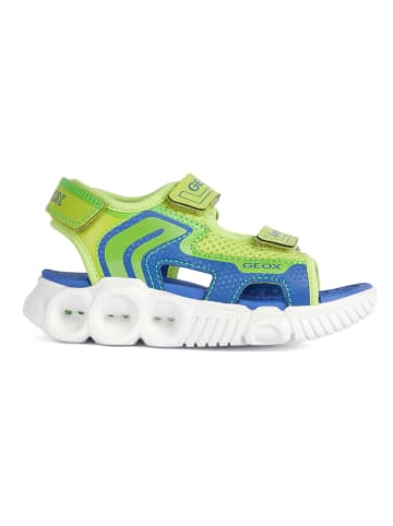 Geox Sandalen "Wroom" groen/blauw