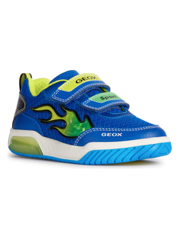 Geox Sneakers "Inek" blauw