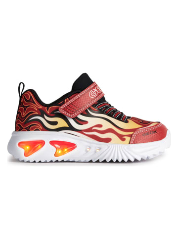 Geox Sneakers "Assister" in Rot