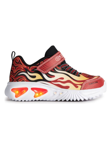 Geox Sneakers "Assister" rood