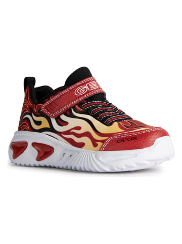 Geox Sneakers "Assister" in Rot