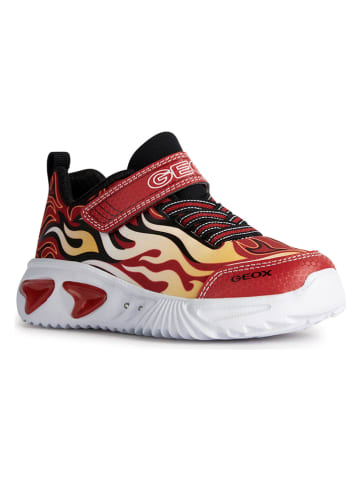 Geox Sneakers "Assister" rood