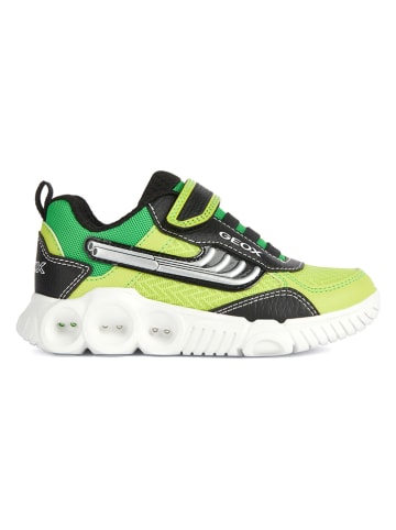 Geox Sneakersy "Wroom" w kolorze zielonym