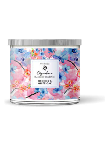 Woodbridge Duftkerze " Orchids & White Oak" in Weiß/ Rosa/ Blau - 410 g