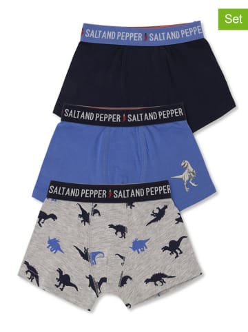 Salt and Pepper 3-delige set: boxershorts meerkleurig