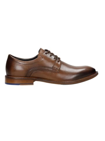 Wojas Leder-Schnürschuhe in Braun