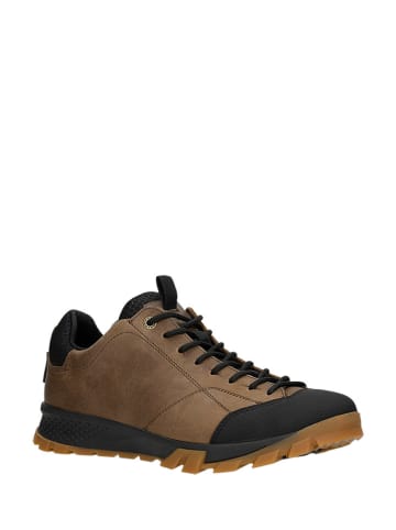 Wojas Skórzane buty trekkingowe w kolorze jasnobrązowo-czarnym