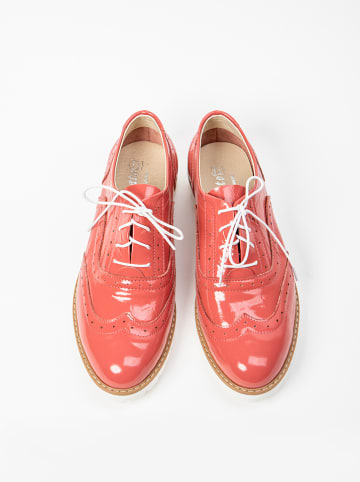 Zapato Leder-Schnürschuhe in Pink