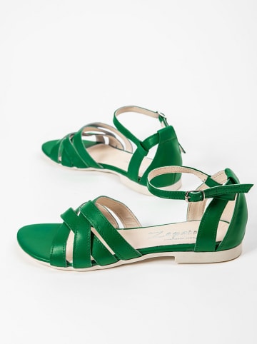 Zapato Leren sandalen groen
