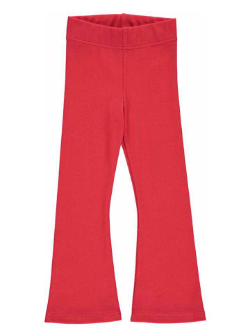 Fred´s World by GREEN COTTON Spodnie "Alfa rib" w kolroze czerwonym