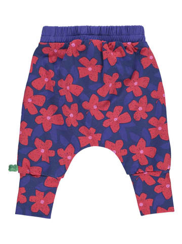 Fred´s World by GREEN COTTON Sweathose "Pow" in Blau/ Rot