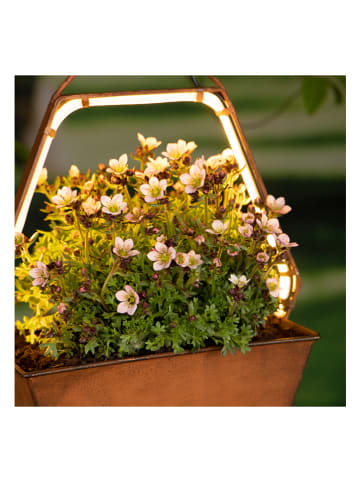 Garden Hero Solarna lampa wisząca LED w kolorze jasnobrązowym - 34,7 x 19,8 x 10,8 cm