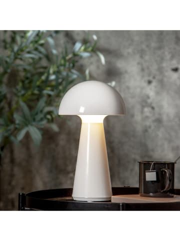 STAR Trading Decoratieve ledlamp "Mushroom" wit - (B)16 x (H)28 cm