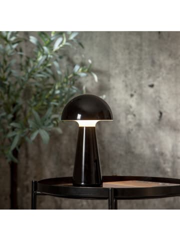 STAR Trading Decoratieve ledlamp "Mushroom" zwart - (B)16 x (H)28 cm
