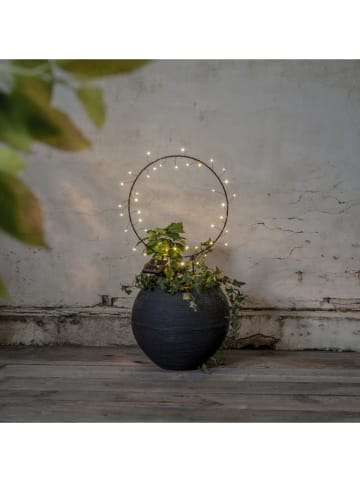 STAR Trading Solarna dekoracja LED w kolorze czarnym - wys. 60 cm