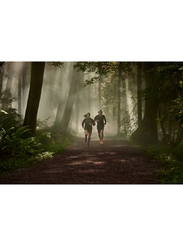 Garmin GPS-Laufuhr "Forerunner 255 Basic" in Blau/ Schwarz