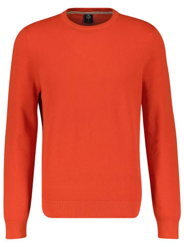 Lerros Sweter w kolorze czerwonym
