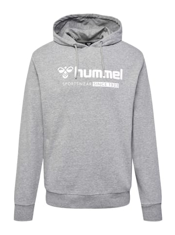 Hummel Hoodie in Grau