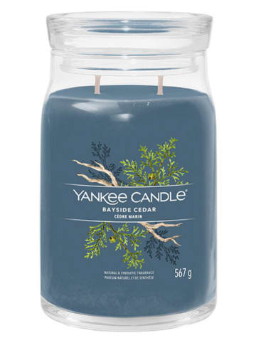 Yankee Candle Świeca zapachowa "Bayside Cedar" - 567 g