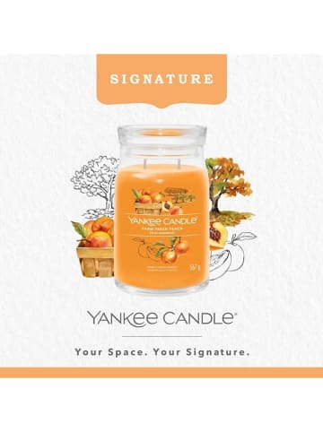 Yankee Candle Świeca zapachowa "Farm Fresh Peach" - 567 g