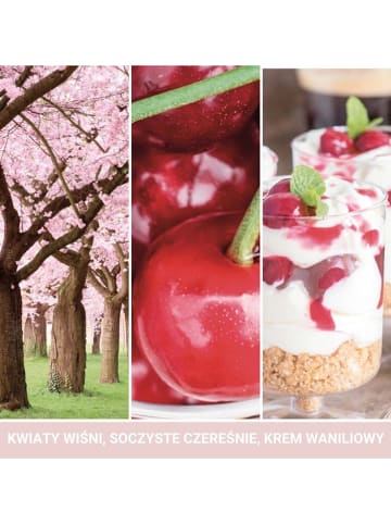 Yankee Candle Geurkaars "Pink Cherry & Vanilla" - 567 g