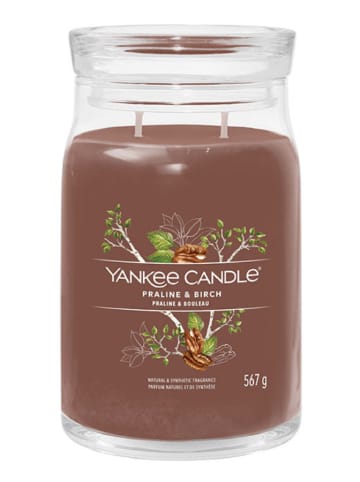 Yankee Candle Duża świeca zapachowa - Praline & Birch - 567 g