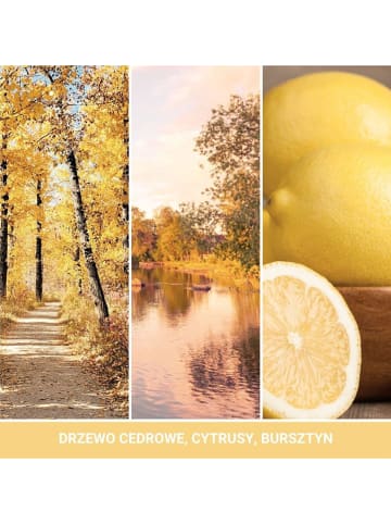 Yankee Candle Świeca zapachowa "Autumn Sunset" - 368 g