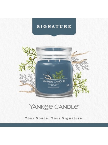 Yankee Candle Duftkerze "Bayside Cedar", 368 g