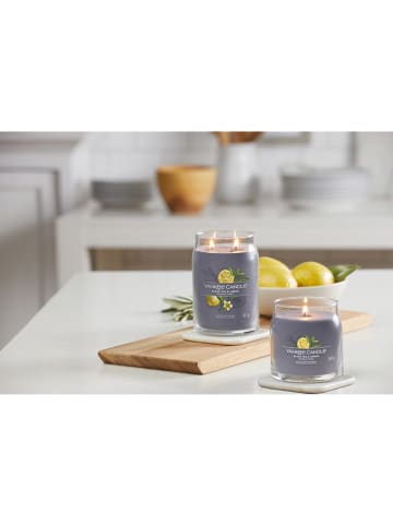 Yankee Candle Duftkerze "Black Tea & Lemon", 368 g