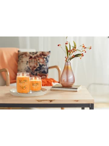 Yankee Candle Duftkerze "Farm Fresh Peach" - 368 g