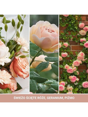 Yankee Candle Geurkaars "Fresh Cut Roses" - 368 g