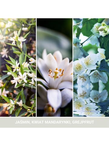 Yankee Candle Geurkaars "Midnight Jasmine" - 368 g